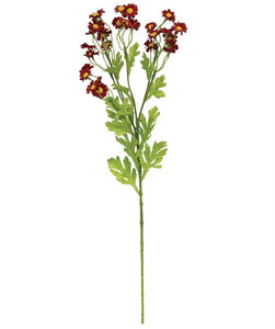 red chamomile flower spray